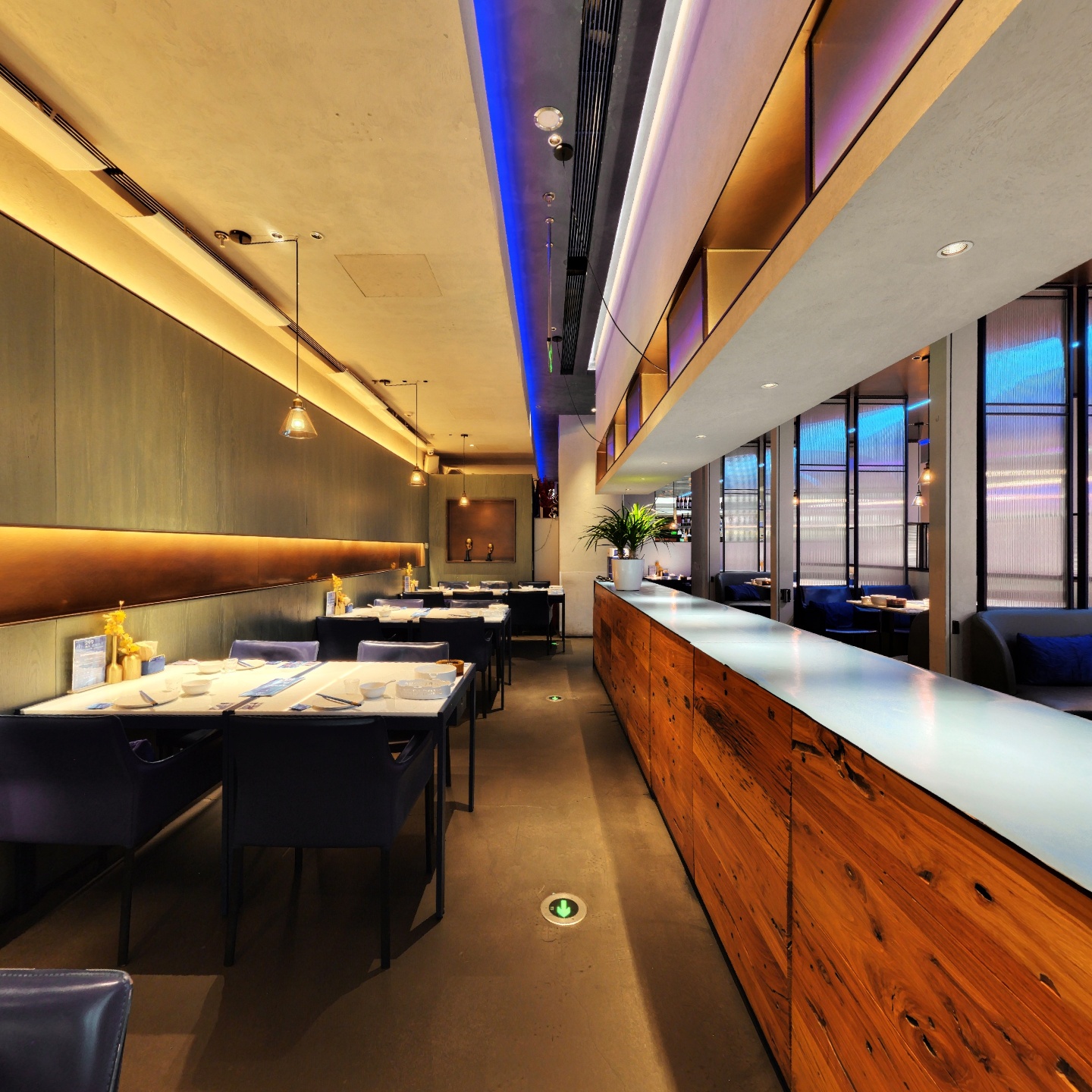 （PR）小大董·烤鸭（丽泽店）