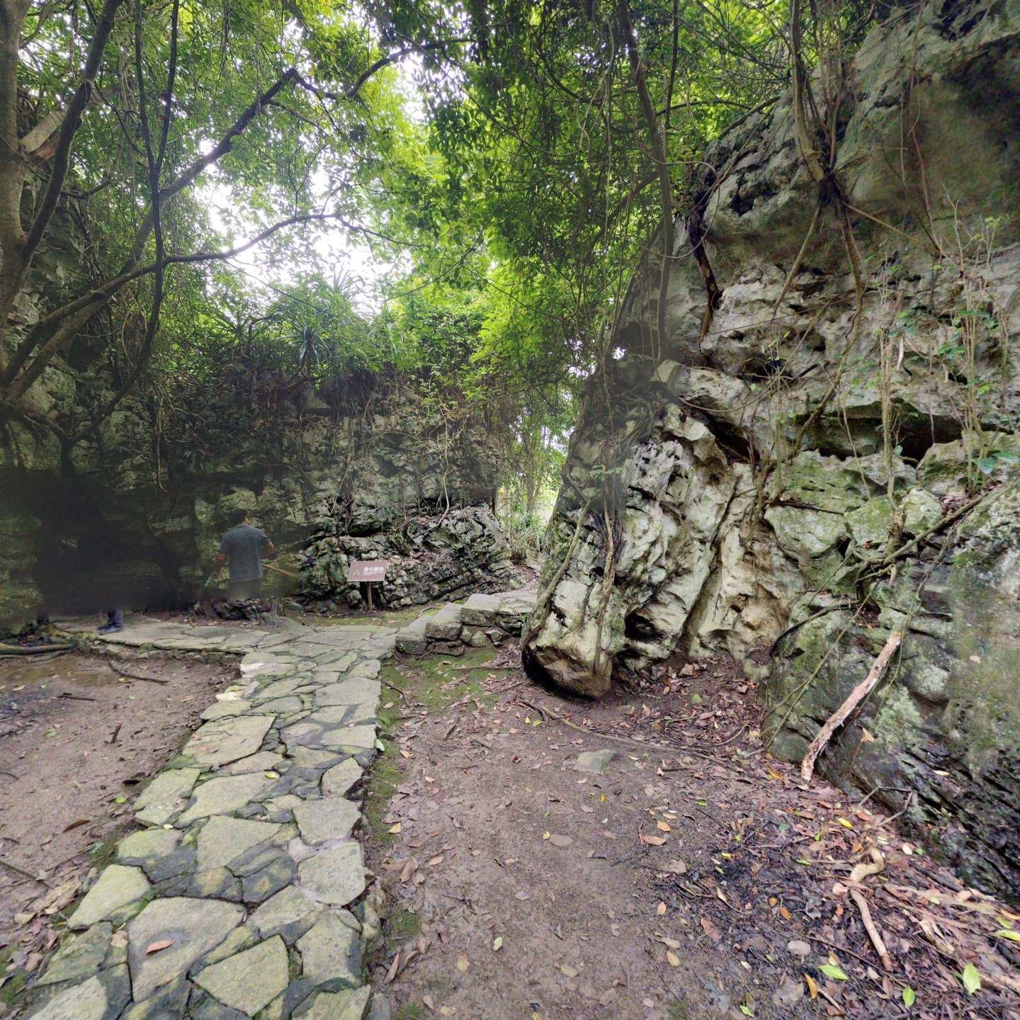 步道