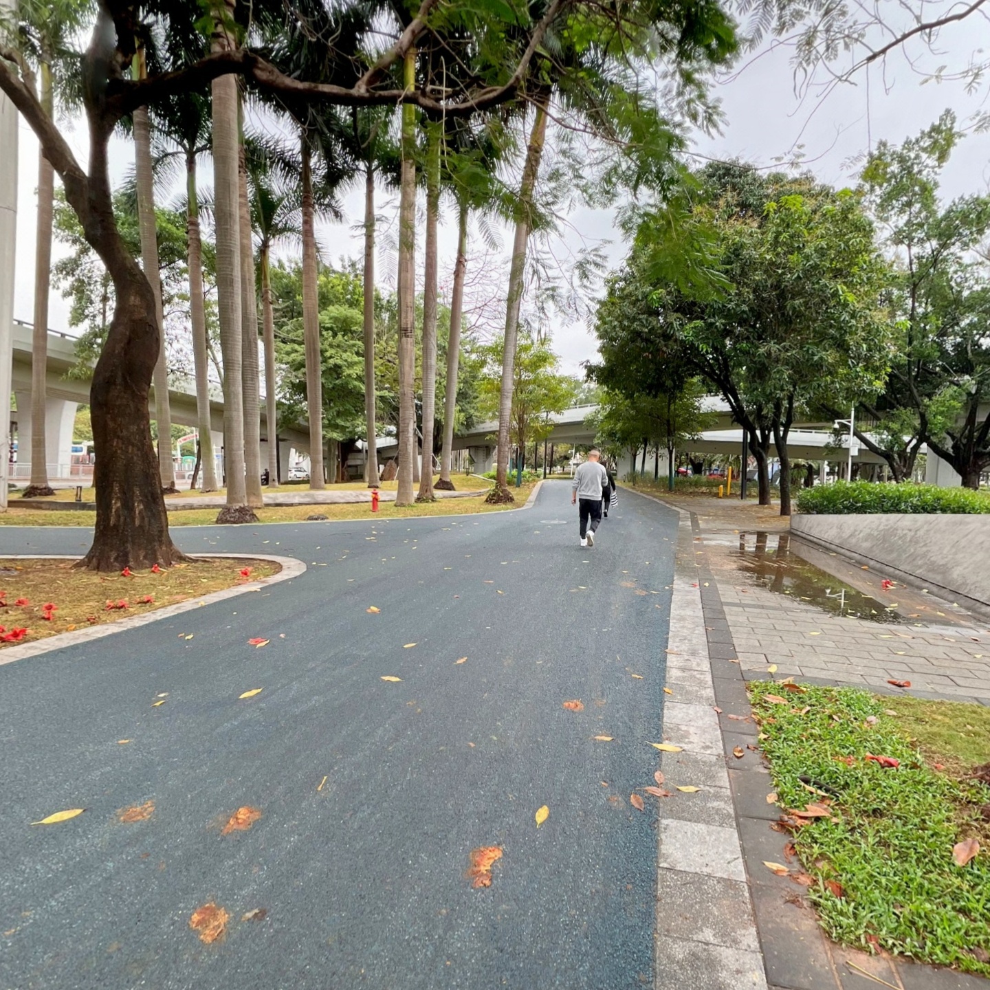 雨后的街心公园
