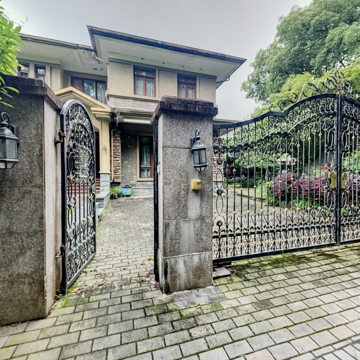凤蝶23
