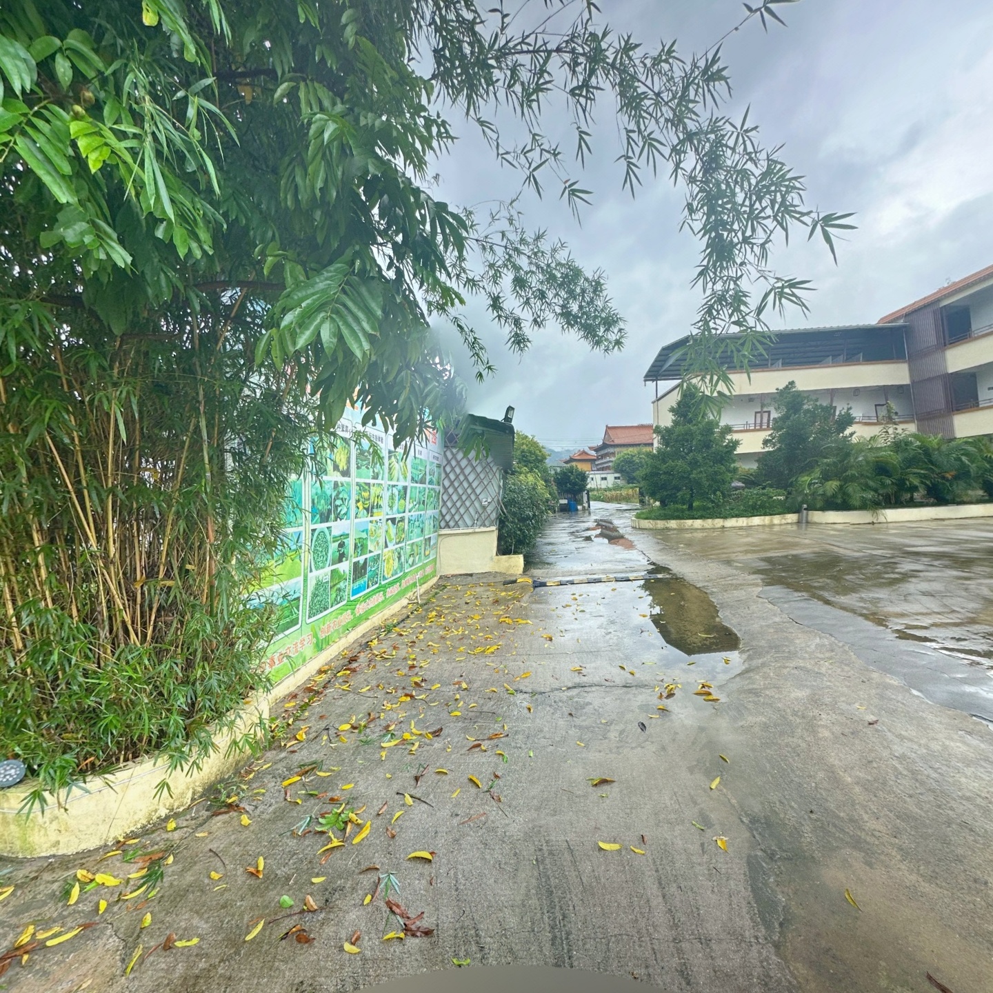 悦喜生态园场景