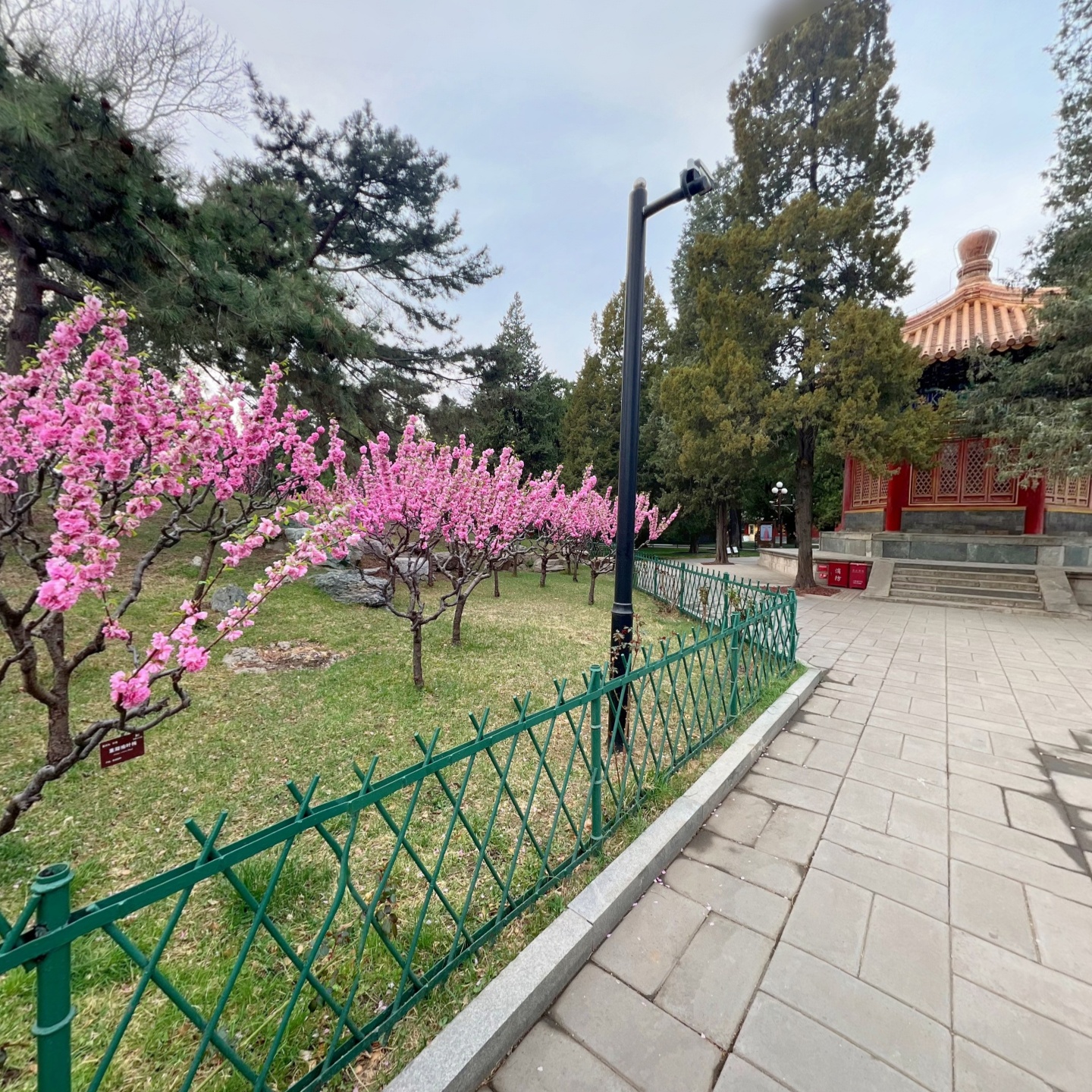 中山公园-习礼亭