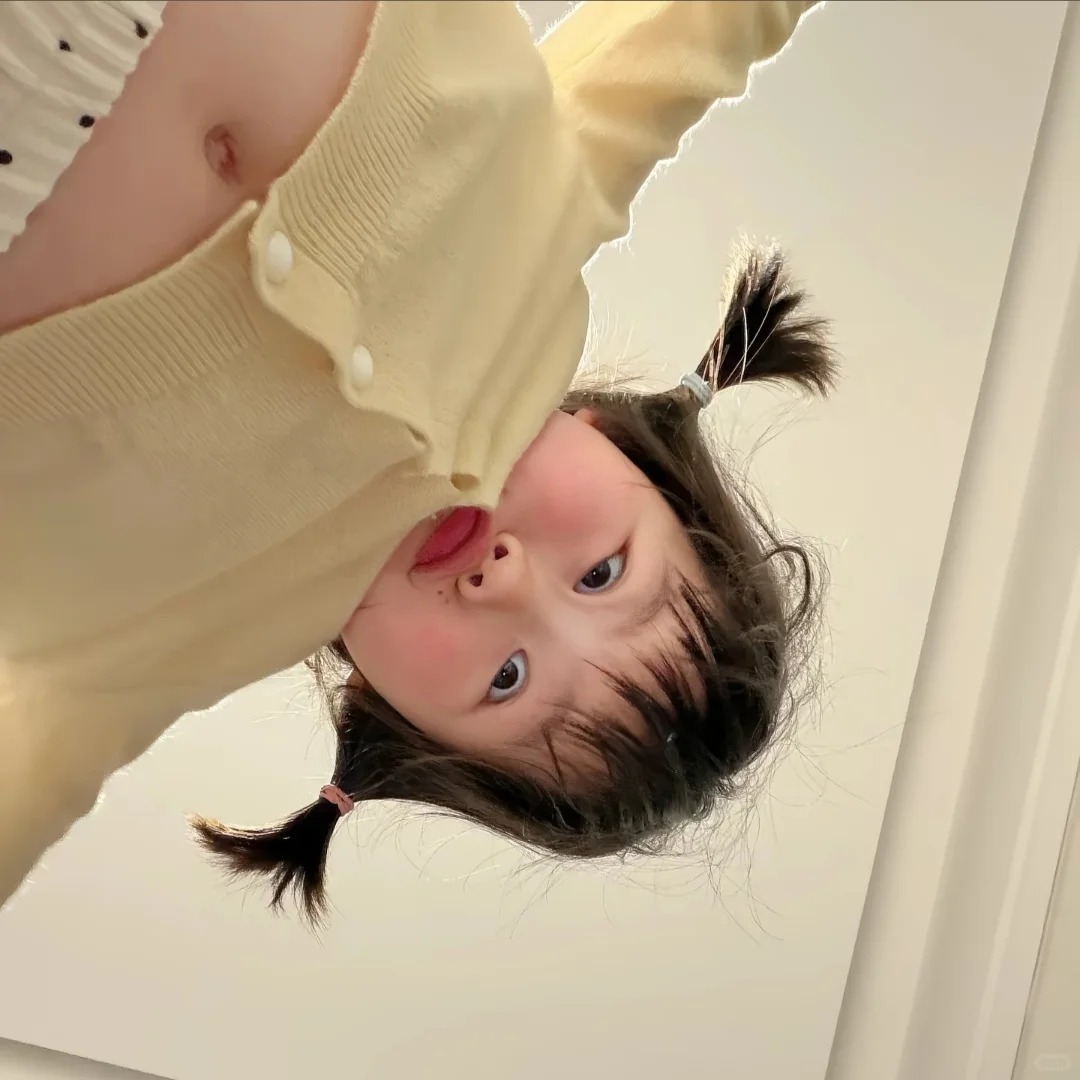 猫猫家的房子